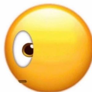 Meet your Posher, Lorin